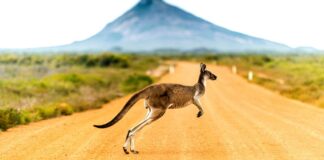 Australia – Country Performance, Brand Strength and Reputation Australia's sustainability, competitiveness, country brand strength and reputation, according to international rankings and indices.