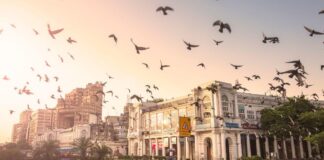 New Delhi – City Performance, Brand Strength and Reputation New Delhi attractiveness for investors, talent and visitors, according to international rankings: its brand strength and reputation.