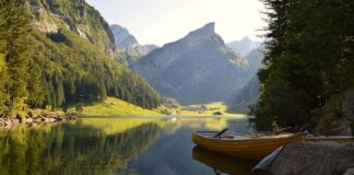 Switzerland – Country Performance, Brand Strength and Reputation Switzerland in global rankings: its economic performance, country brand strength, sustainability, reputation