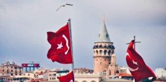 Türkiye – Country Performance, Brand Strength and Reputation Explore Türkiye's economic performance, country brand strength and reputation.