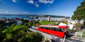 Wellington – Urban Sustainability, City Brand Strength and Reputation Snapshot of Wellington, its sustainability performance, city brand strength, and reputation for fdi, talent, visitors.