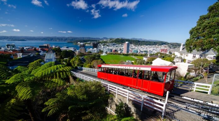 Snapshot of Wellington, its sustainability performance, city brand strength, and reputation for fdi, talent, visitors.
