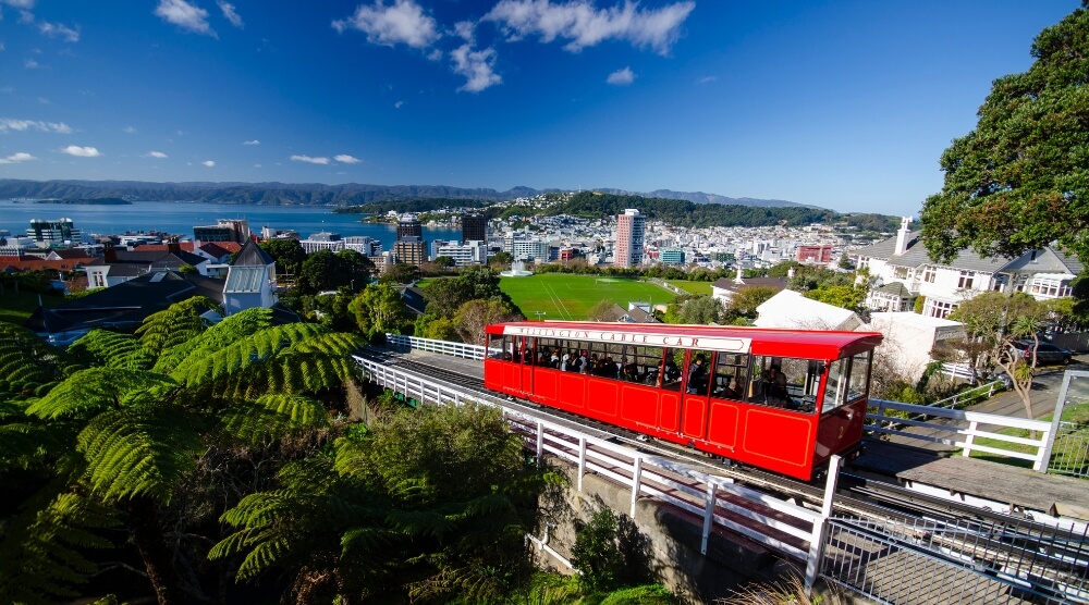 Snapshot of Wellington, its sustainability performance, city brand strength, and reputation for fdi, talent, visitors.